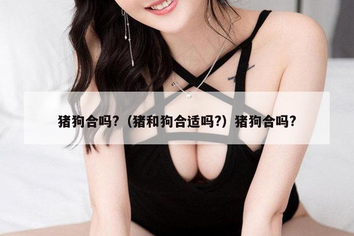 猪狗合吗?（猪和狗合适吗?）猪狗合吗?